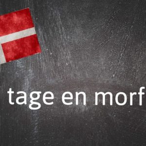 #Dänischer #Fachausdruck #Des #Tages #Regel #Morfar