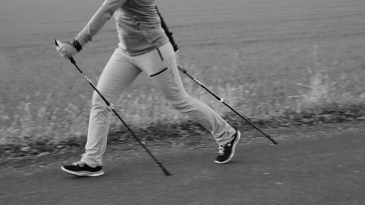 Nordic Strolling – The correct technique