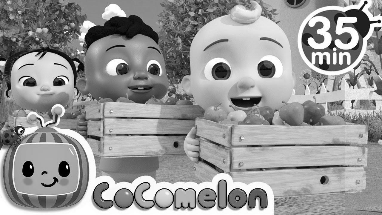 Be taught to Rely with Apples + More Nursery Rhymes & Kids Songs – CoComelon