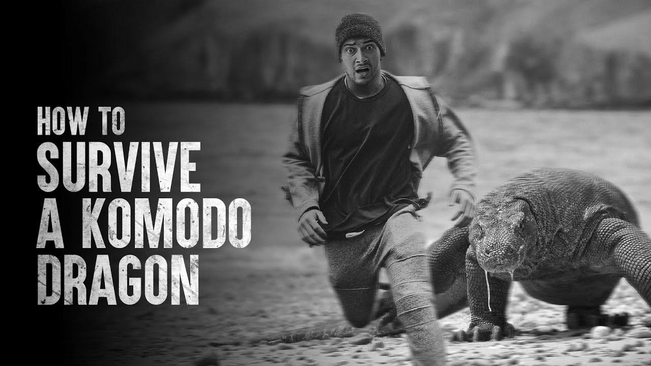 How To Survive a Komodo Dragon Assault