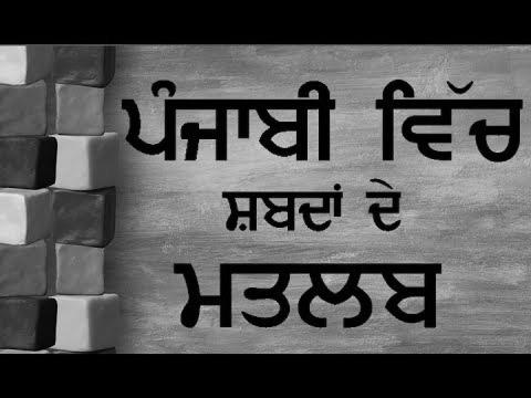 ਪੰਜਾਬੀ ਸਿੱਖੋ |  Study Punjabi Language With Sentences For Inexperienced persons |  Pronounce The Matra & Vowels